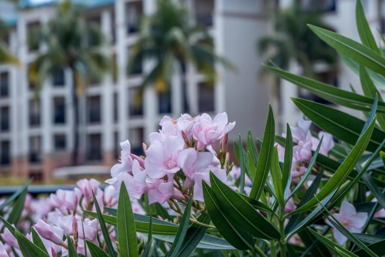 Great Bay Condominiums Located At The Ritz-Carlton Club, St Thomas Nazareth Екстер'єр фото